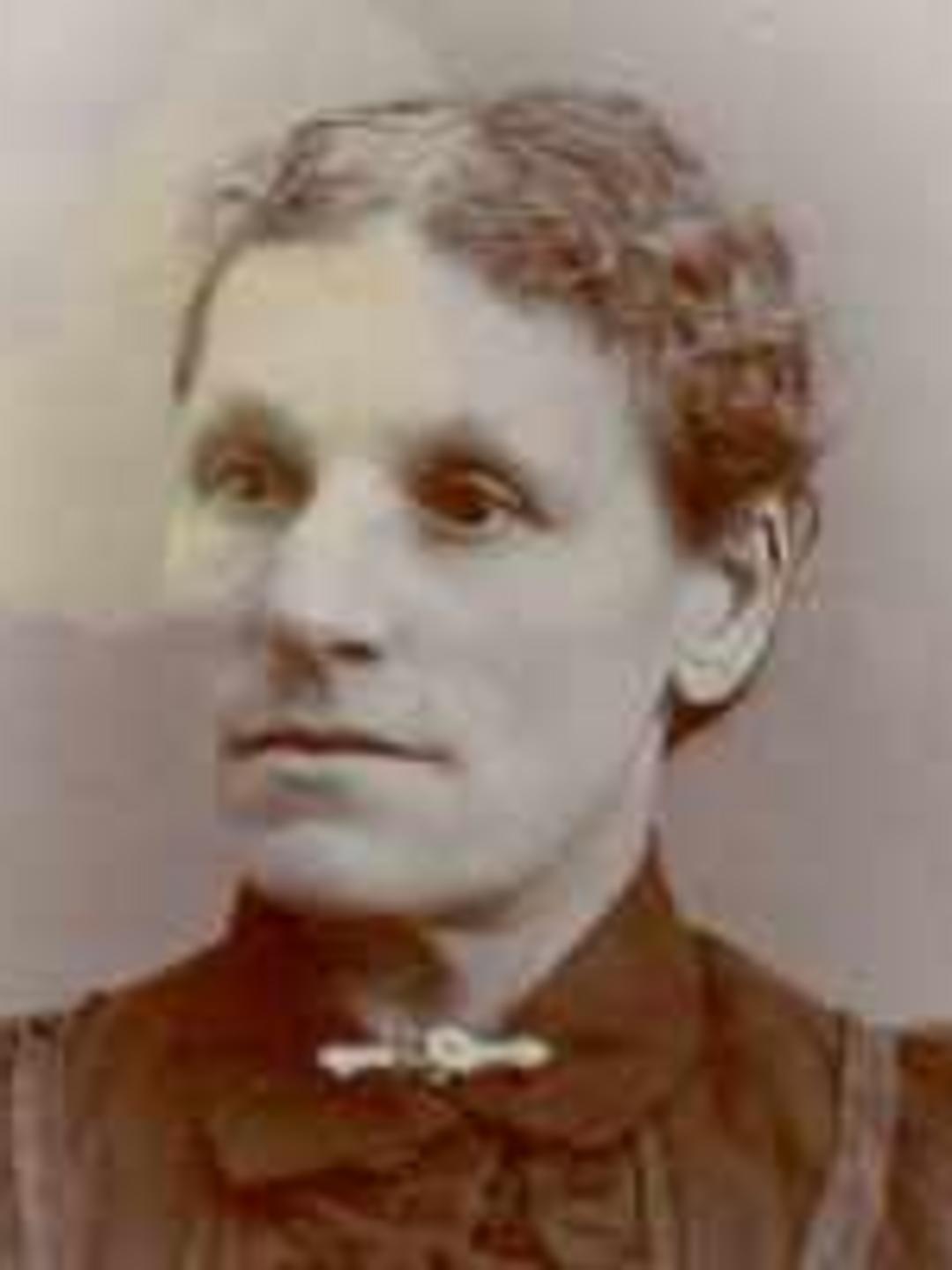 Sarah Foster (1846 - 1917) Profile